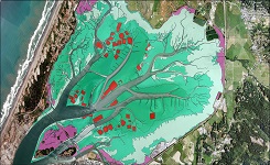 Sample of benthic cover data