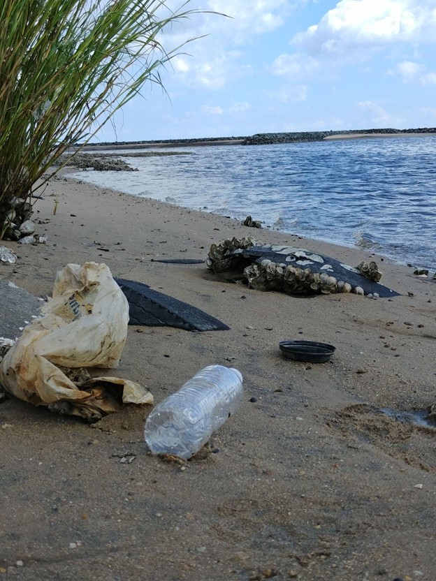 Marine debris at Cedar Creek.