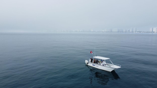A boat in water on a foggy day.