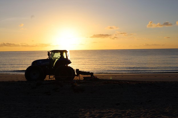 Silhouette of a tractor plowing the Sargassum seagrass into the sand.