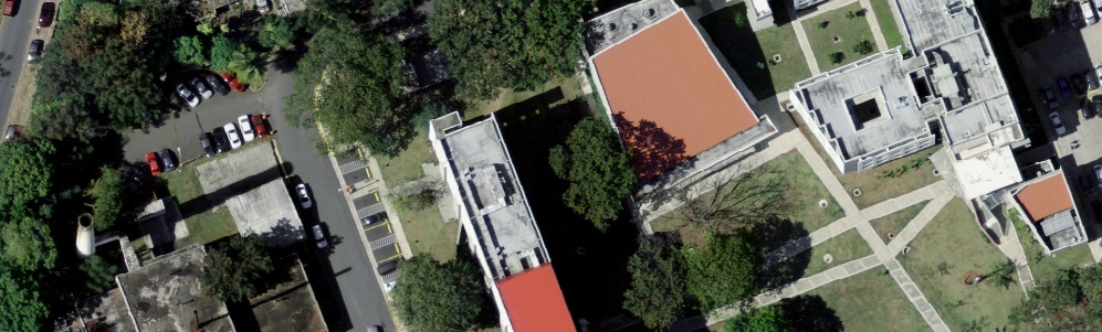 High-Resolution Orthoimagery