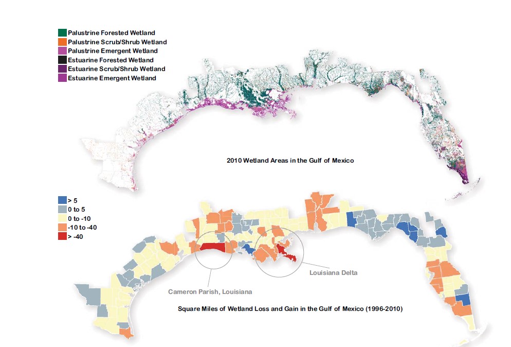 C-CAP Regional Land Cover data showing wetland coverage in the Gulf of Mexico coastal watershed counties
