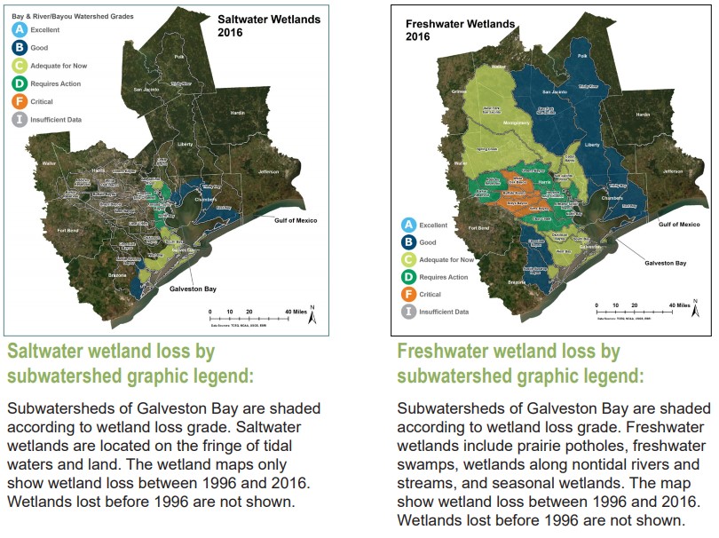 Saltwater wetland loss versus freshwater wetland loss