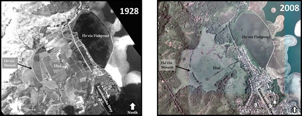 High-Resolution Orthoimagery of the wetland and fishpond on the eastern side of O’ahu, Hawai’i from 1928 and 2008