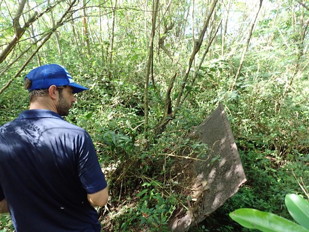 Man looking at historic landmark covered in thick vegetation