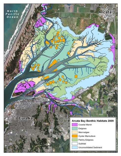 High-Resolution Orthoimagery showing benthic habitats for Arcata Bay, California