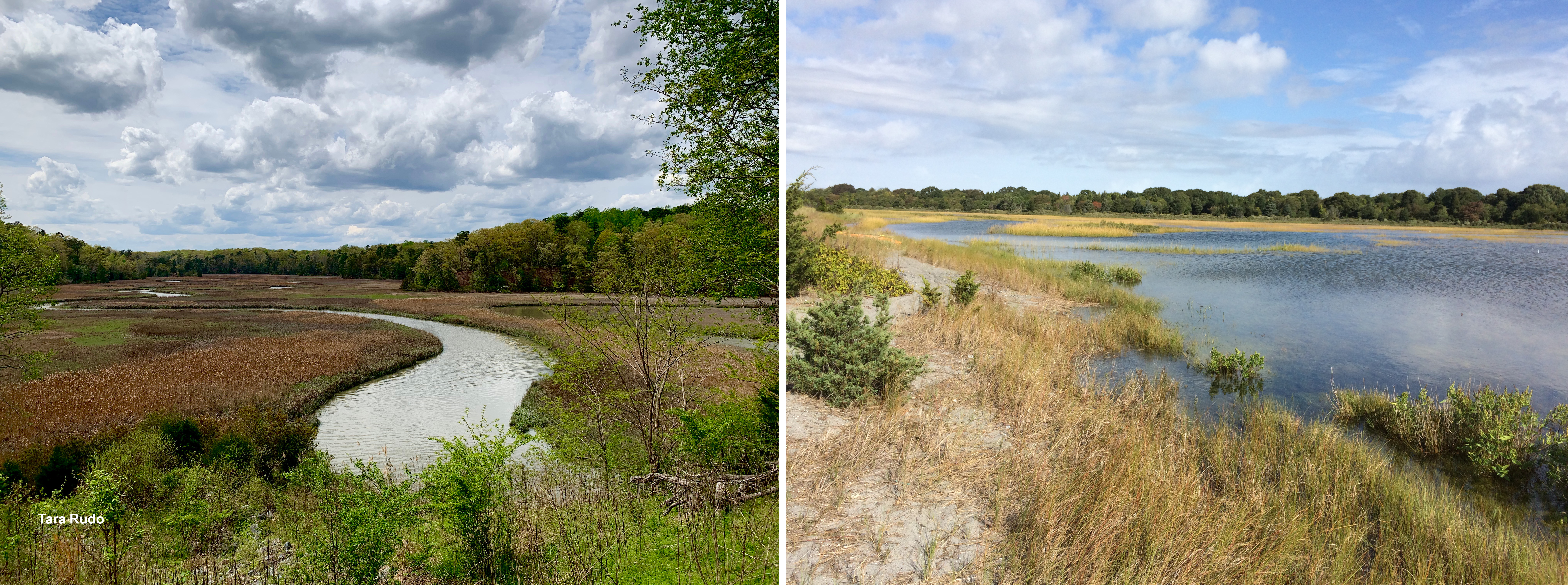 Comparison of unfragmented Southeast marshes (left) and developed marsh areas (right)