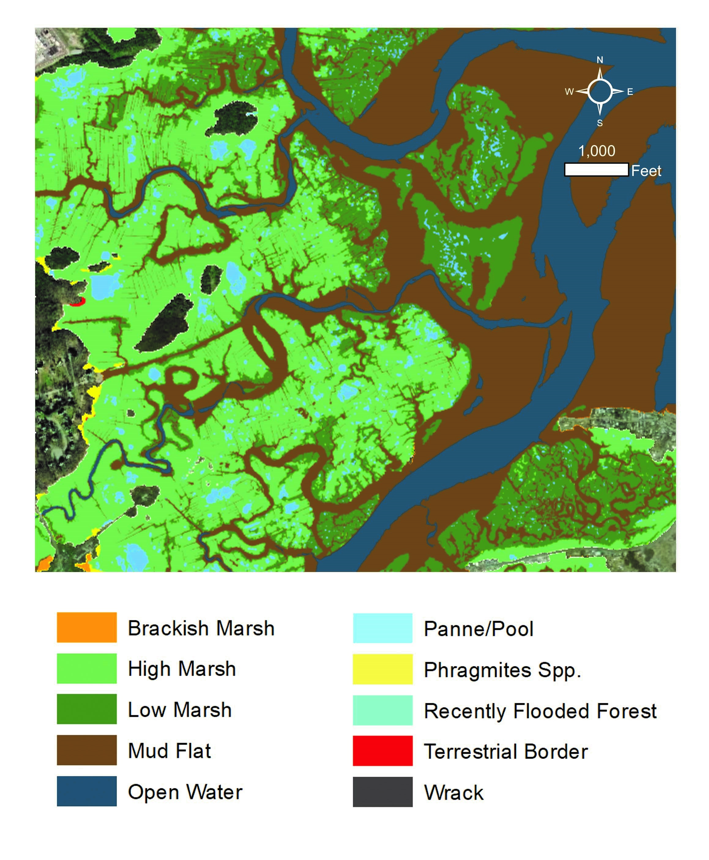 High-resolution tidal wetland data showing vulnerability to sea level rise