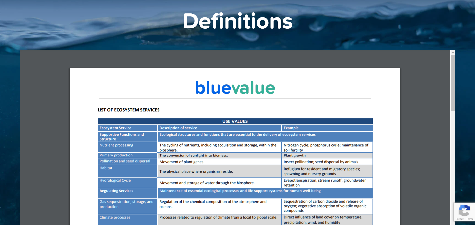 A screenshot of the tool, BlueValue, being used.