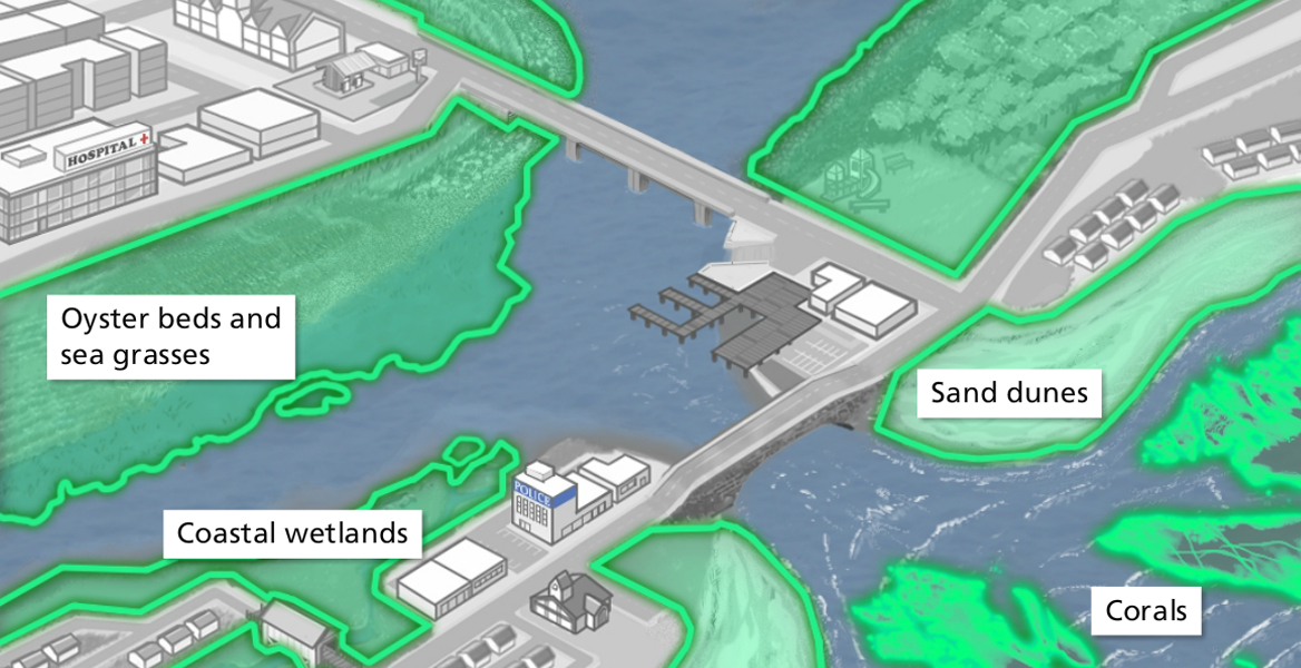 Screenshot of Green Infrastructure Protective Services Animation Video