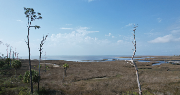 Long range view of marsh