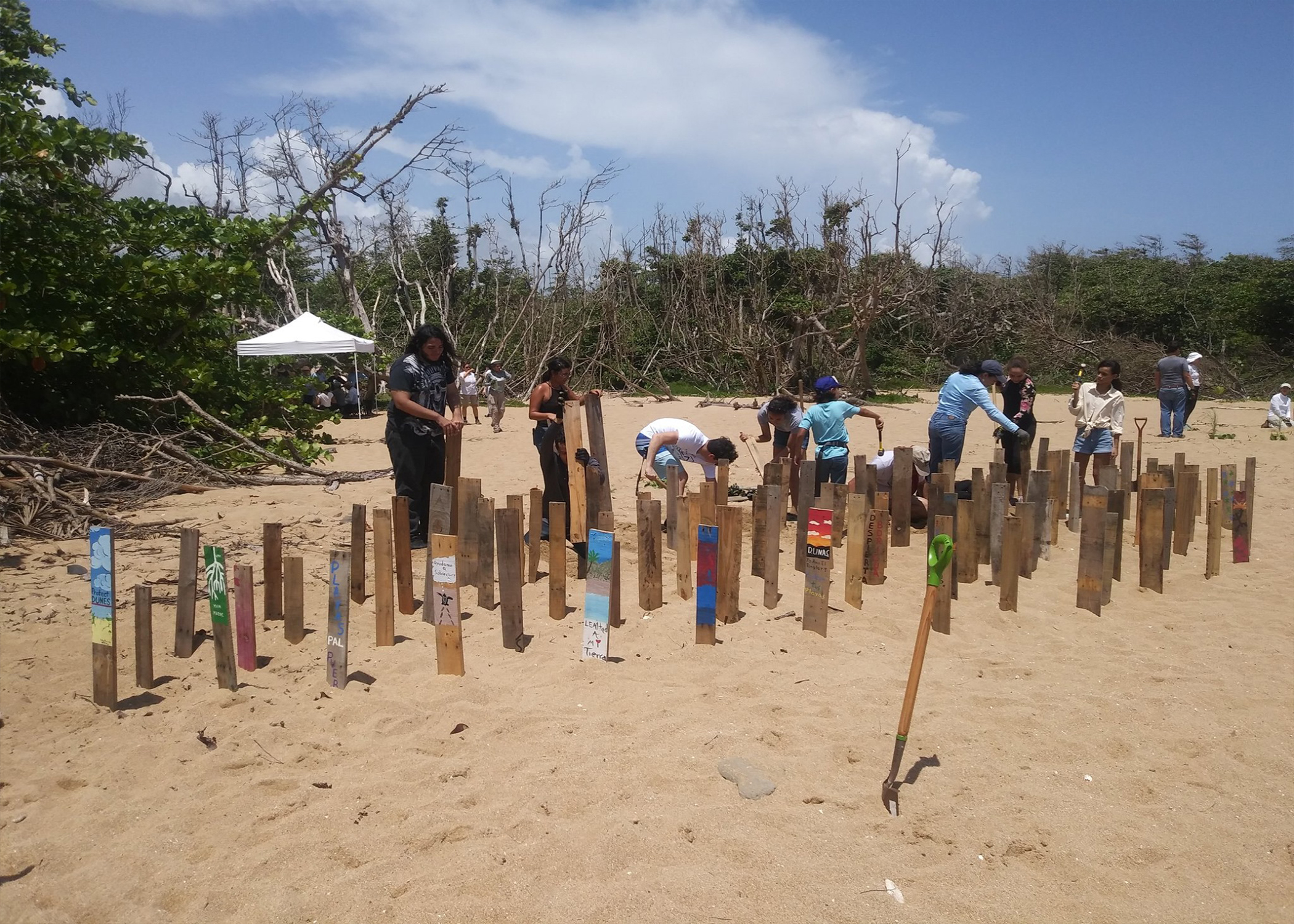 Volunteers installing biomimicry sand-trapping devices to increase dune height for National Fish And Wildlife Foundation grant.
