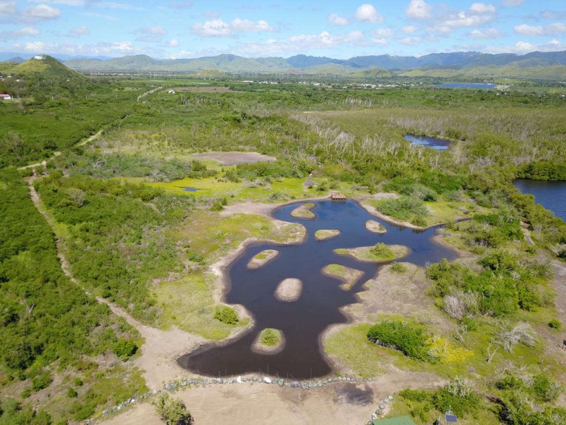 Image of an aerial view of Jobos Bay Reserve, Puerto Rico