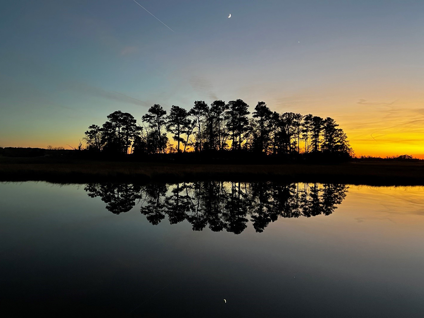 A cluster of trees and a line of marsh grass reflect in glassy water at sunset.