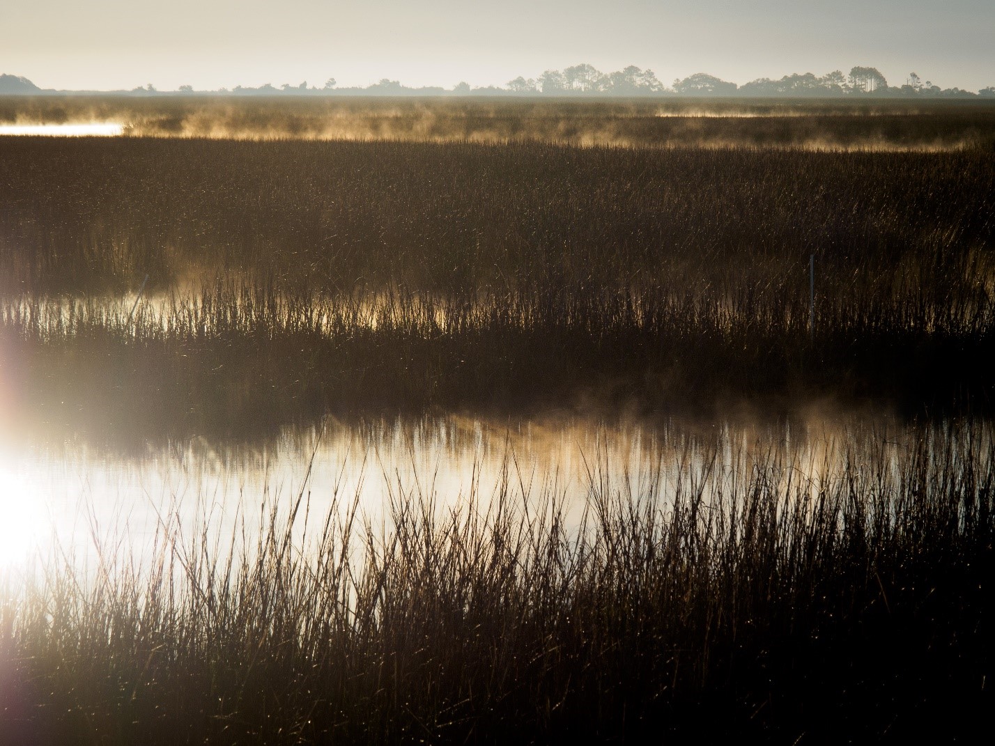 Fog rises from water meandering through marsh grass.