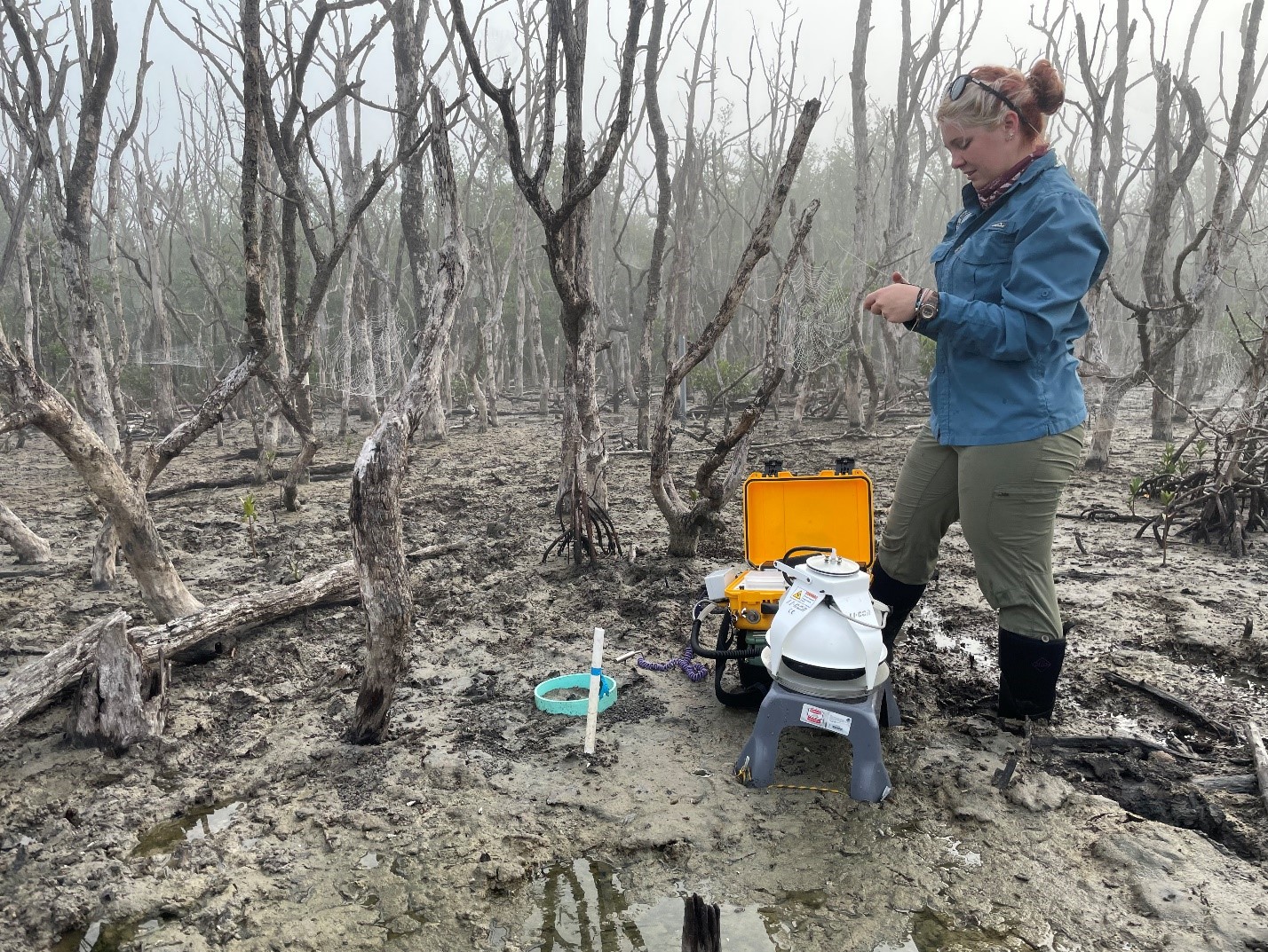 Person standing in mud is in a dead forest with several devices on the ground at their feet.