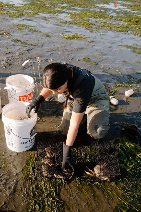 A person wearing chest waders with a crab trap and two buckets at their feet.