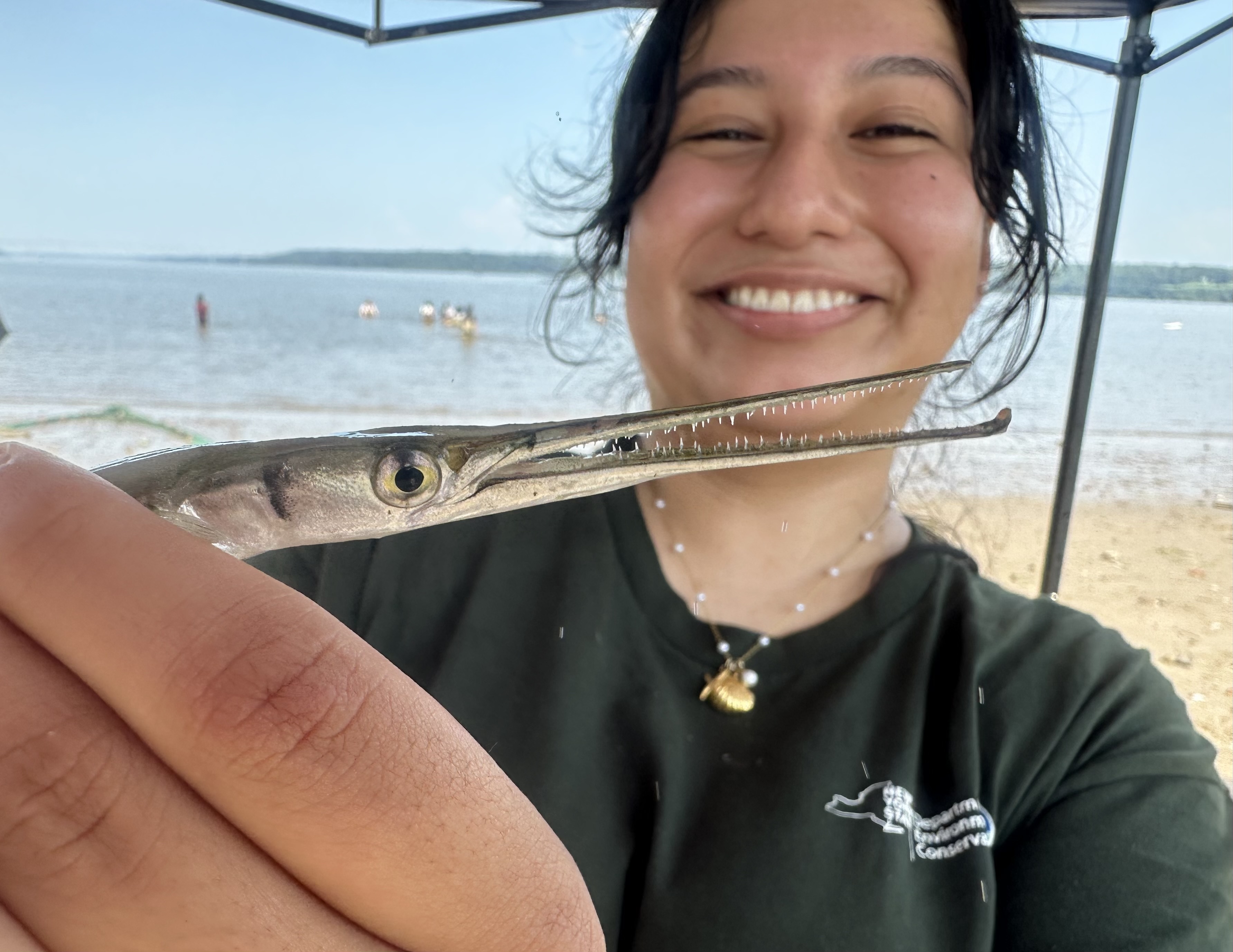 A smiling person in a green shirt is holding a long, narrow fish with a pointed snout and sharp teeth up to the camera.