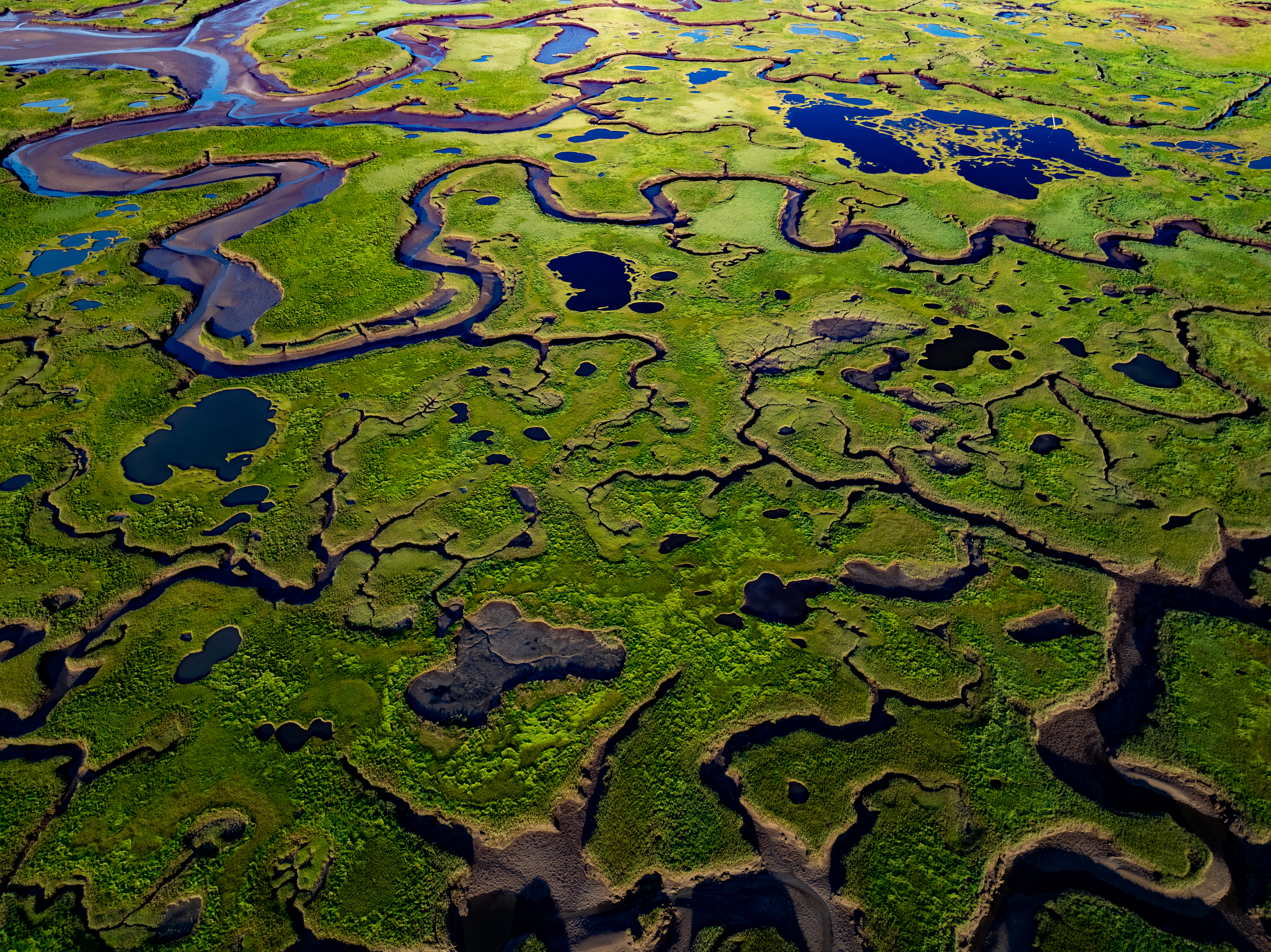 Aerial view of an elaborate marshland with winding water channels and scattered ponds.