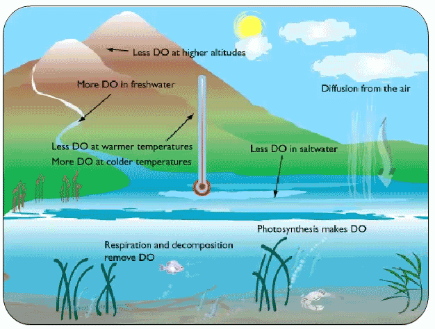 Animation demonstrationg concept of dissolved oxygen