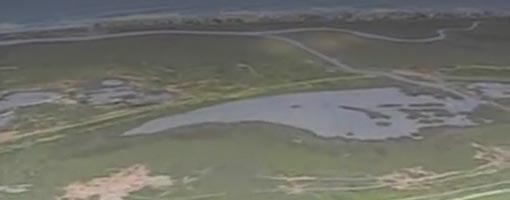 Screenshot of video Saving the Tijuana Estuary