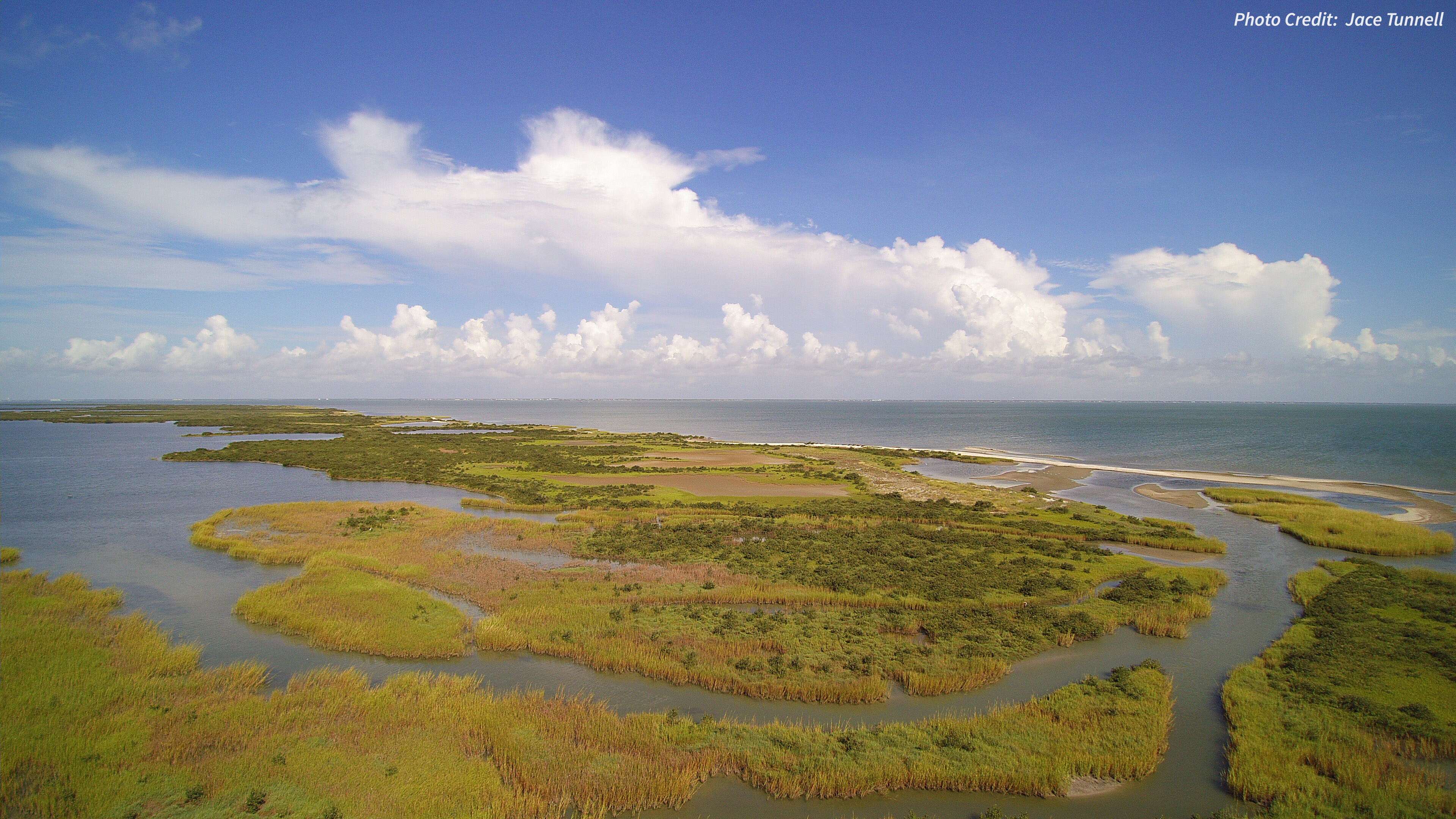 Aerial view of a large marsh stretching to water.