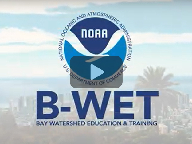 Screenshot of B-WET training video.