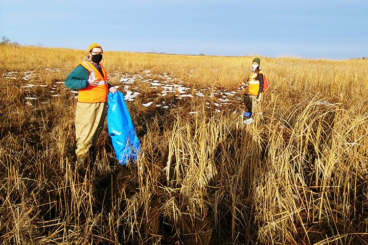Masked people stand in marsh grasses with bags.