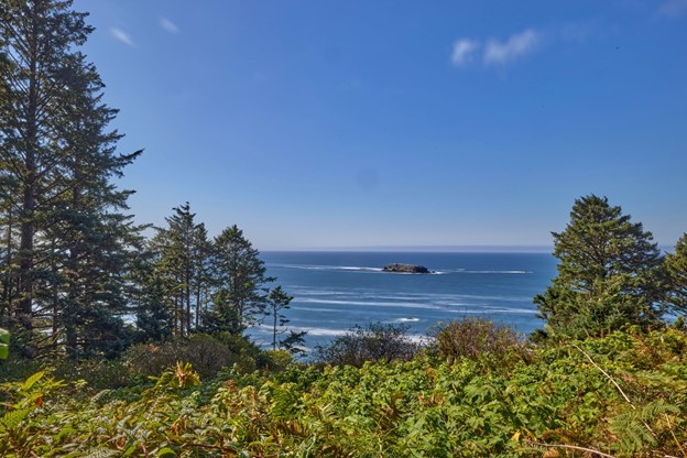 View looking through a gap in trees with smaller plants in the foreground. The ocean is in the distance with a large rock in the middle.