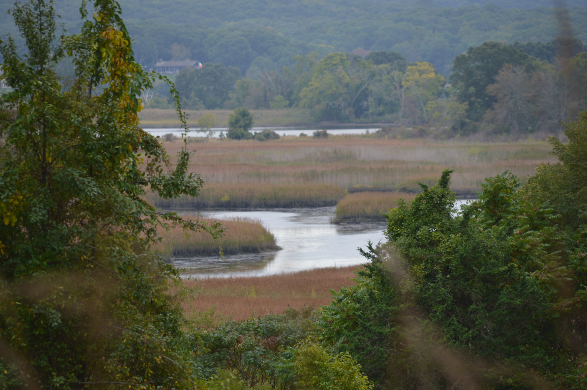 Image shows marshes, a winding waterway, trees, and a house in the distance.