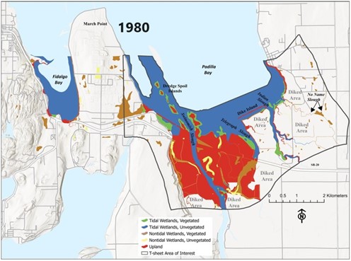 Maps of Padilla Bay show habitat types in 1886 and 1980. A large portion of the vegetated estuary habitat exists in the earlier map, but that area converts to upland habitat in the later map.