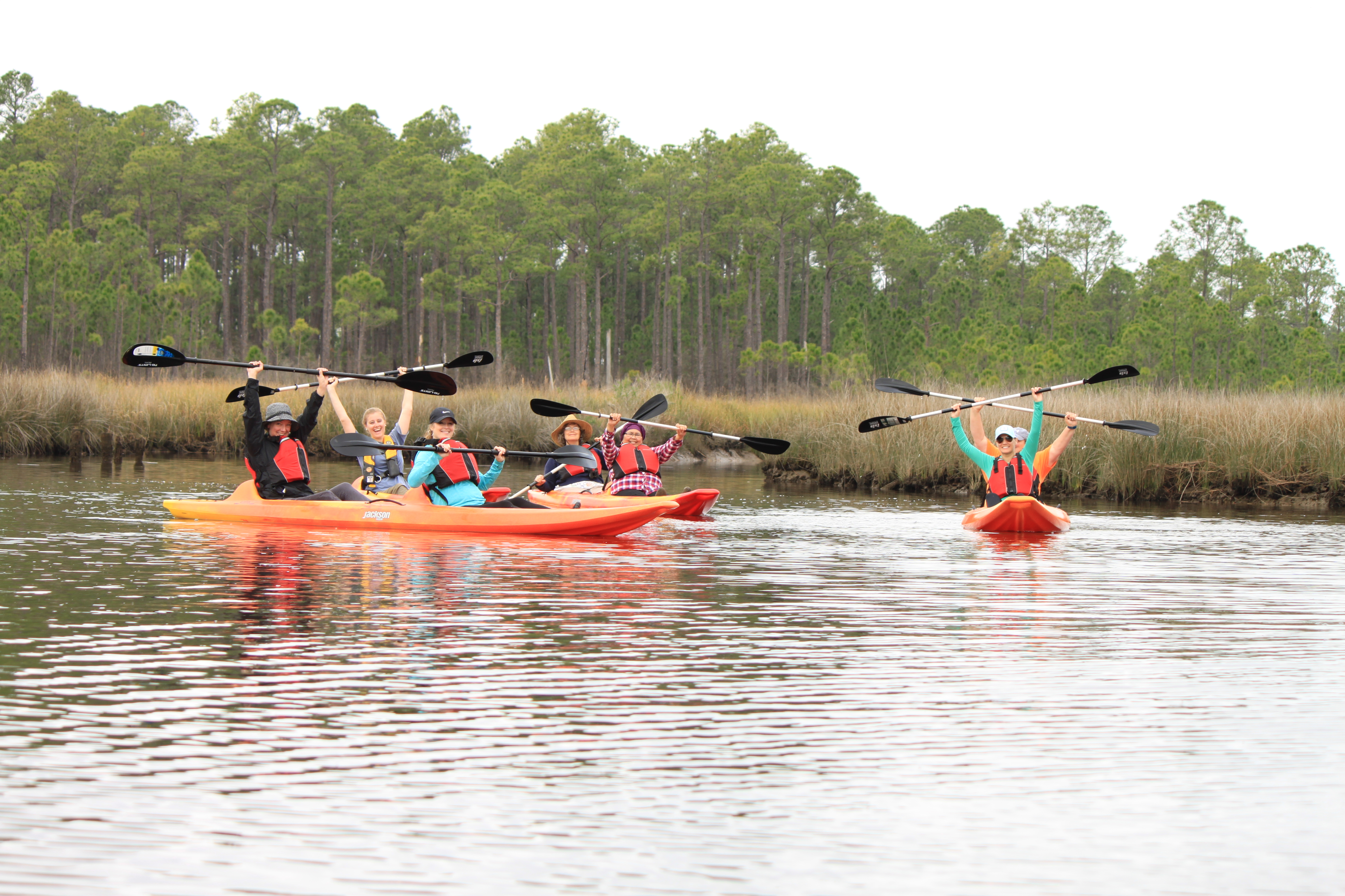 People in three waterborne canoes raise their paddles, with marsh and trees in background.