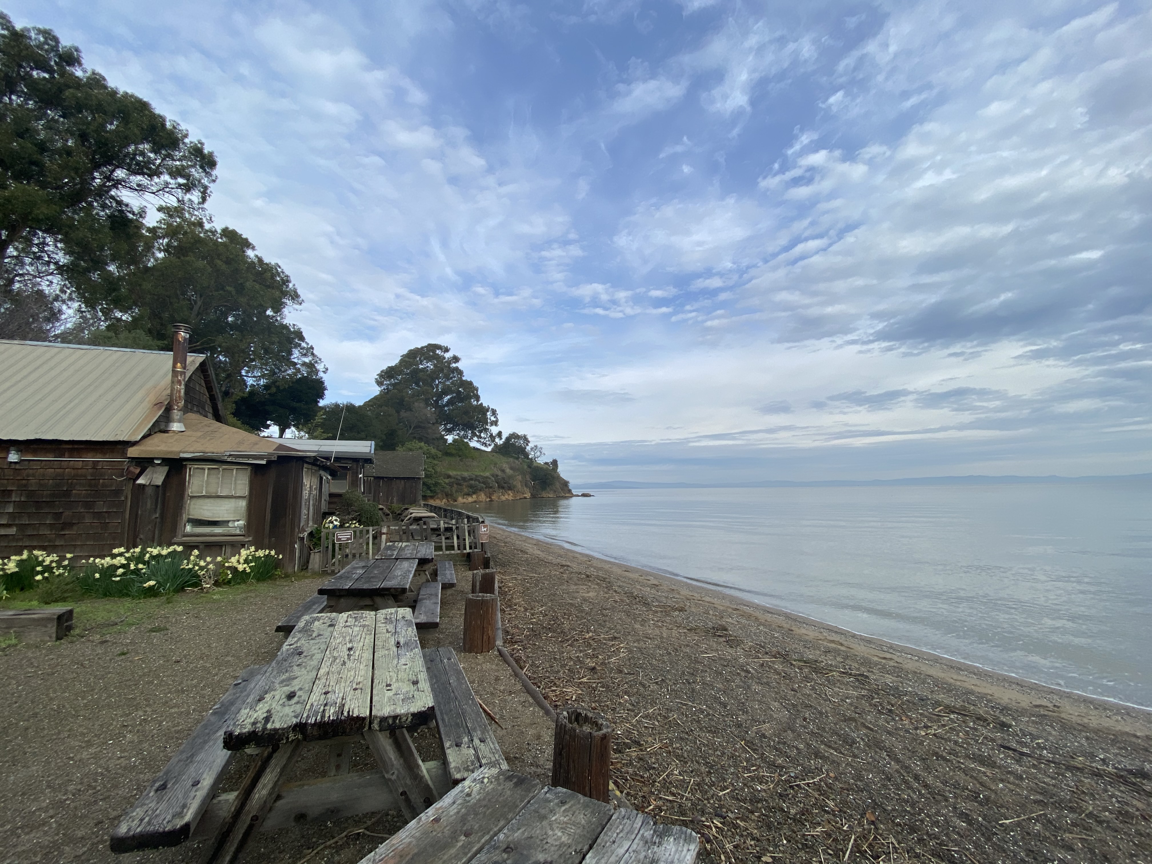 A cabin sits feet from the beach, with picnic tables in the foreground.