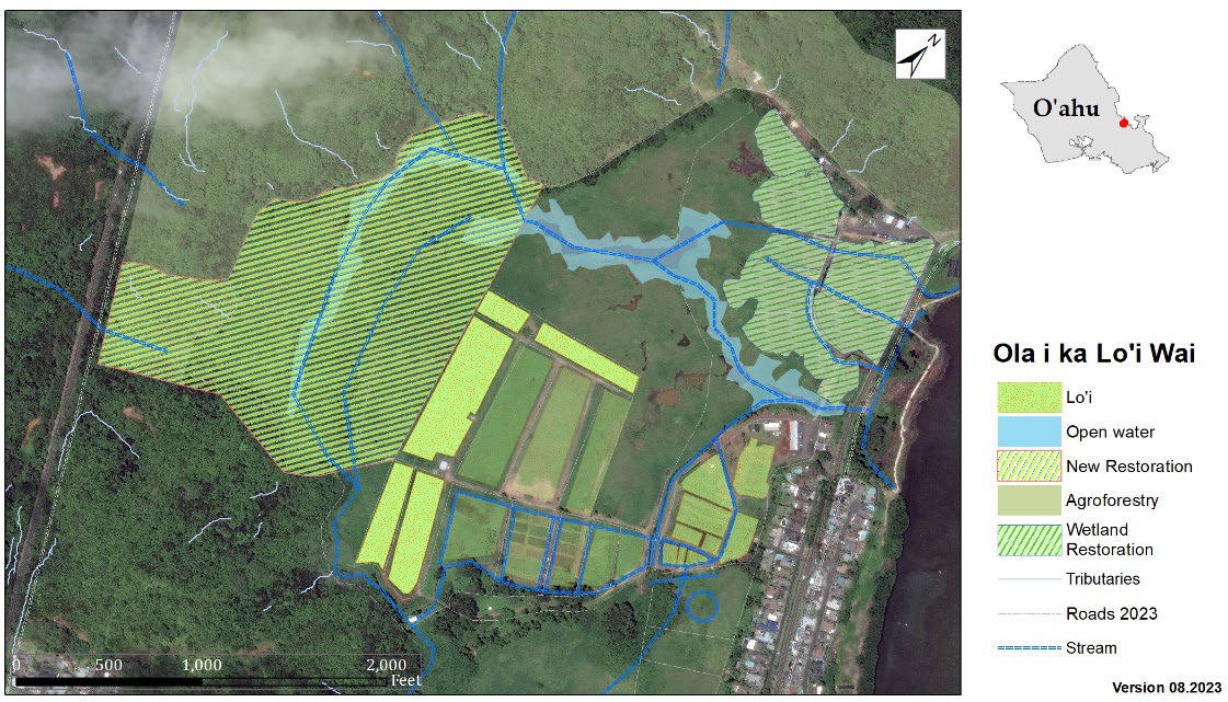 Aerial view showing different shadings and colors depicting Loʻi, open water, restoration spaces, and more.