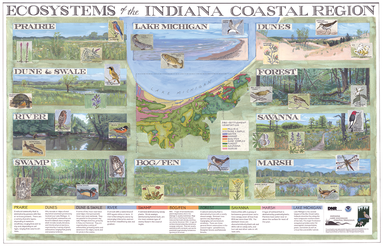Image shows nine panels of wildlife illustrations, with the words “Ecosystems of the Indiana Coastal Region”
