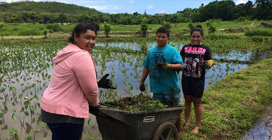 Three students with a wheelbarrow help restore community fishpond in Hawaii.