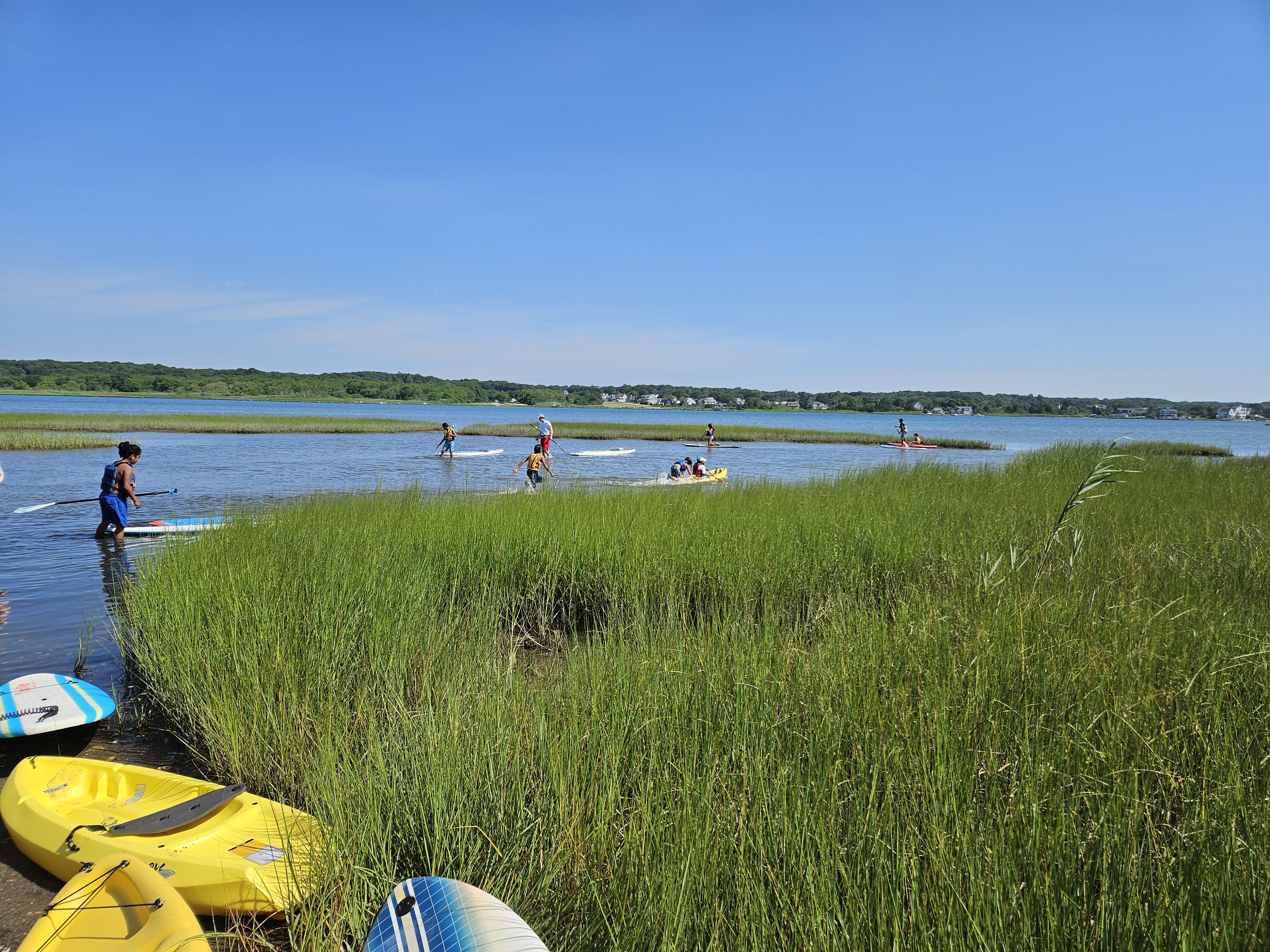 Kayaks and paddleboards are beached in the salt marsh while a group of paddlers play in shallow blue water.