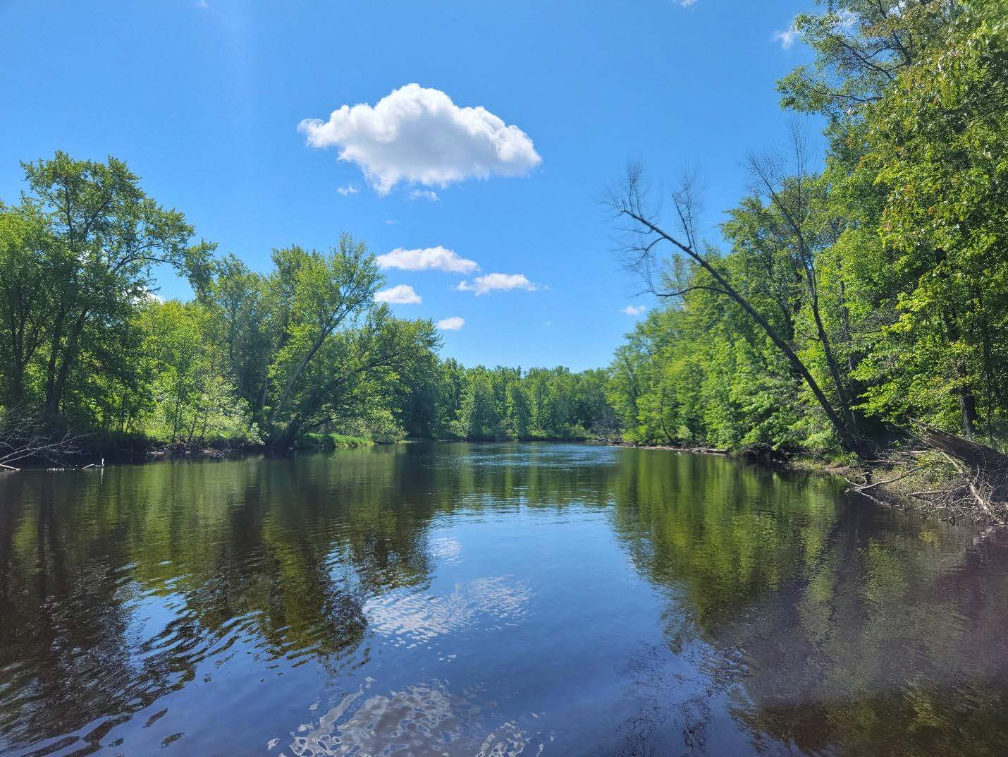 A wide river on a calm day with trees on both sides and a blue sky overhead.