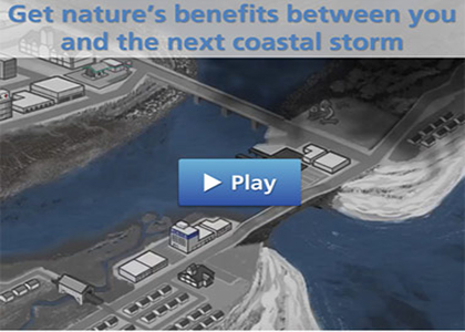 Screenshot of the Green Infrastructure Protective Services Animation