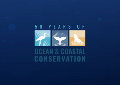 Screenshot of 50 Years of Ocean and Coastal Conservation