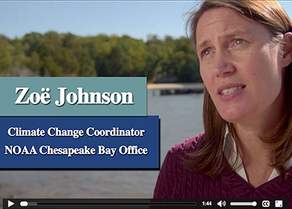 Screenshot of Coastal Management Fellowship Video
