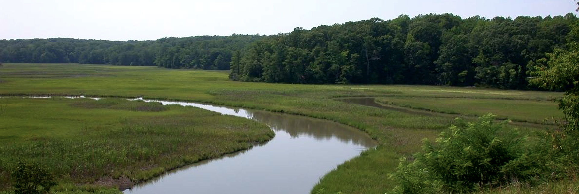 Chesapeake Bay-Virginia National Estuarine Research Reserve